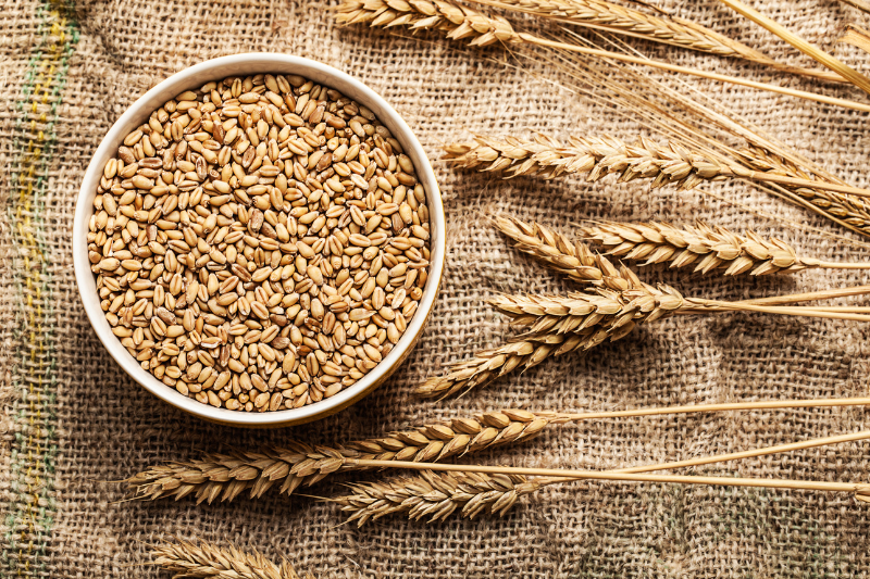 Wheat